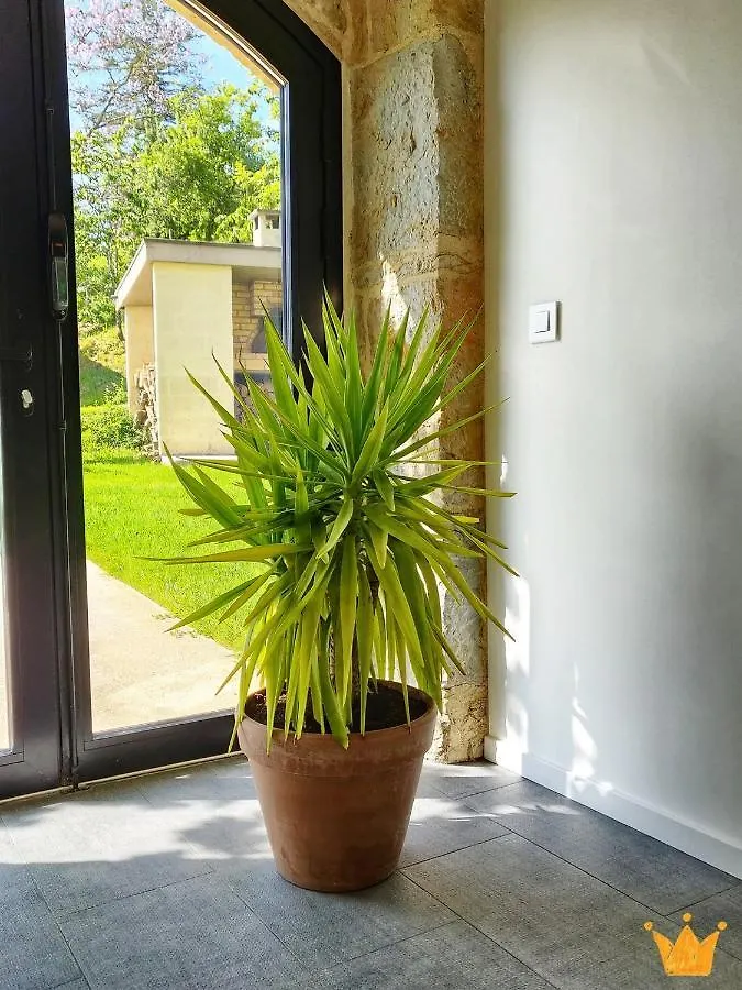 Estafete Bed and Breakfast Cressensac-Sarrazac